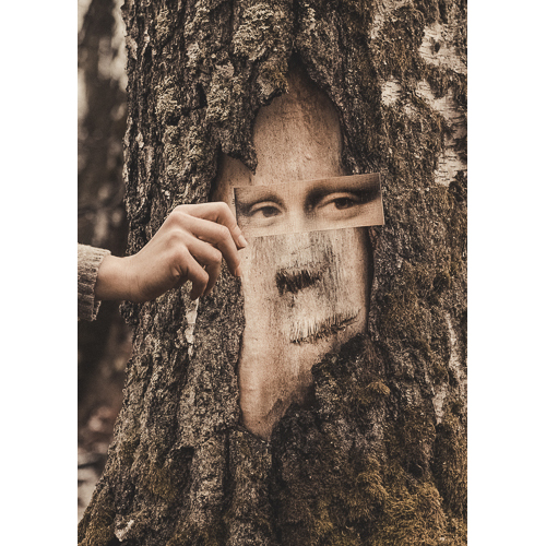 Mona lisa birch tree photo art print